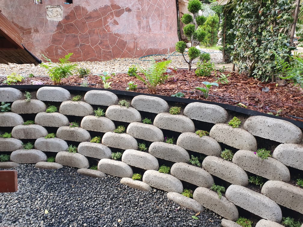 280122359_527577395710564_6590319775575118795_n (1)